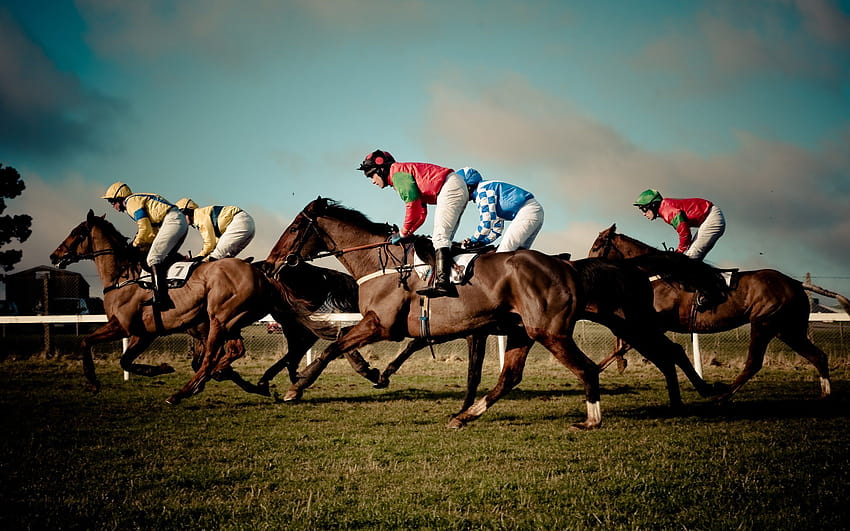 HORSE RACING Rennen Pferdesport Jockeypferde, Pferderennen HD-Hintergrundbild