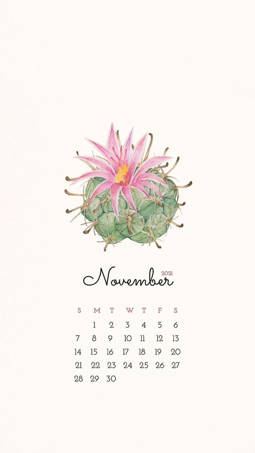 Calendar 2021 November printable with cute, november 2021 calendar HD phone wallpaper