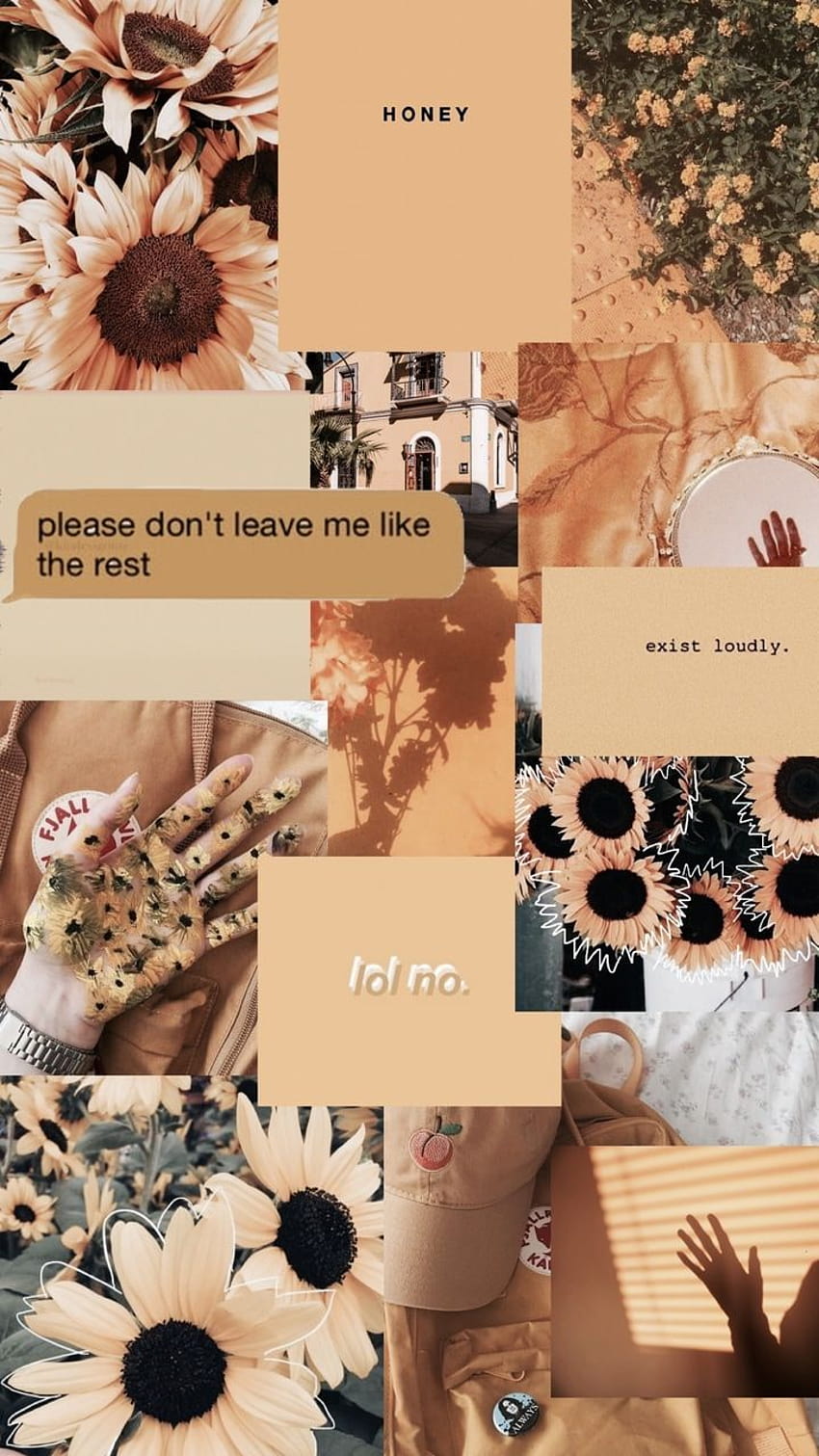 Iphone tumblr aesthetic ...pinterest, aesthetic outfits HD phone wallpaper