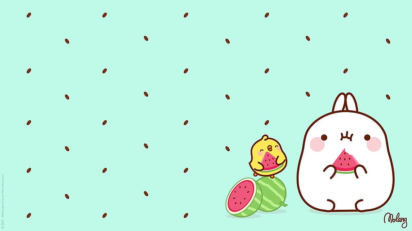 Molang & Totoro Desktop Wallpaper - Kawaii Hoshi