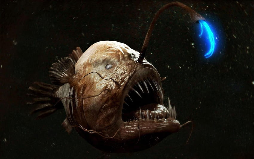 Angler Fish Live for Android, anglerfish HD wallpaper