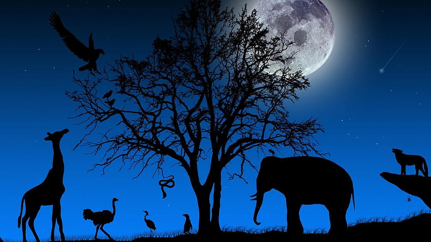 World Wildlife Day, world elephant day HD wallpaper