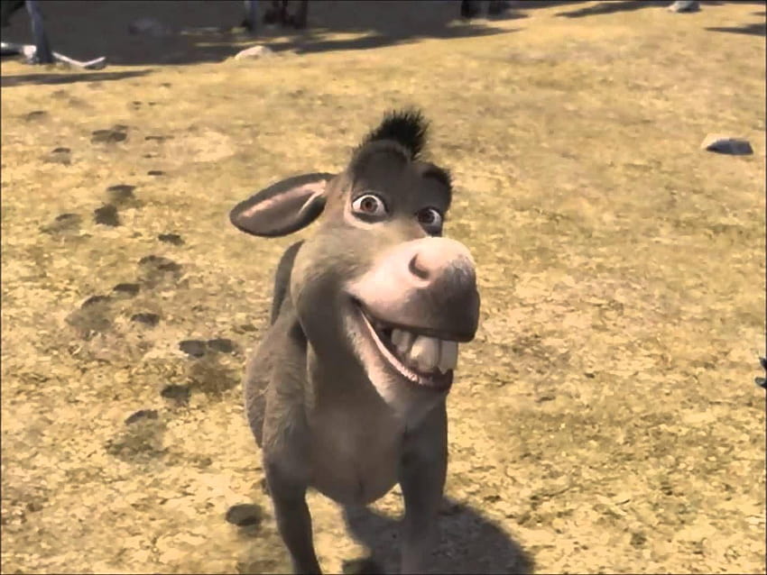 donkey shrek HD wallpaper