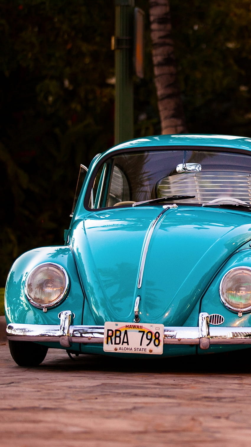 Vehículos Volkswagen Beetle, coche escarabajo fondo de pantalla del teléfono