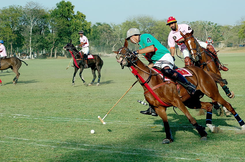 http://www.rajasthantourism.gov.in/App_Themes/Green/ /Rajasthan, horse polo HD wallpaper