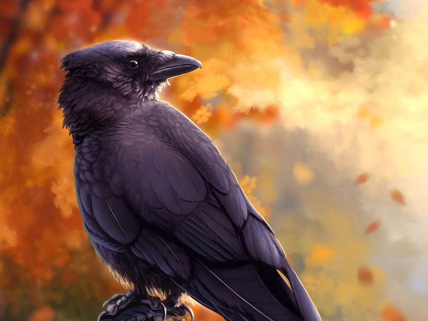 1280x960 raven, bird, art, black, autumn standard 4:3 backgrounds, bird autumn HD wallpaper