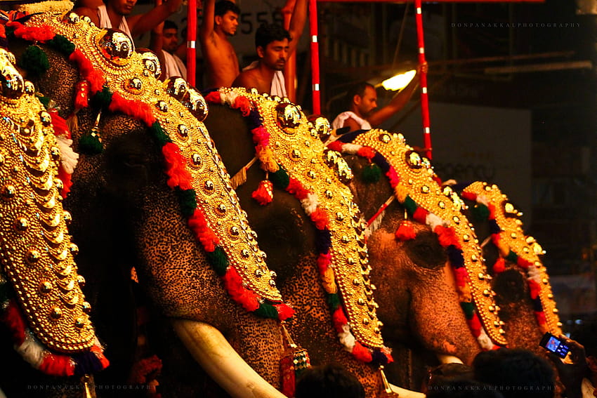 thrissur pooram фестивал на цветовете HD тапет