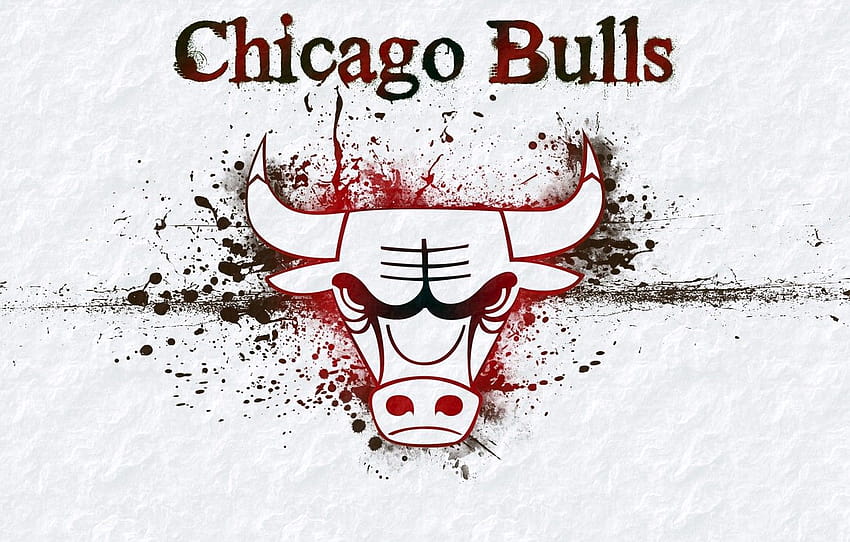 Logo, NBA, NBA, Chicago Bulls, Hintergrund, Stier, Chicago, Chicago Bulls Logo HD-Hintergrundbild