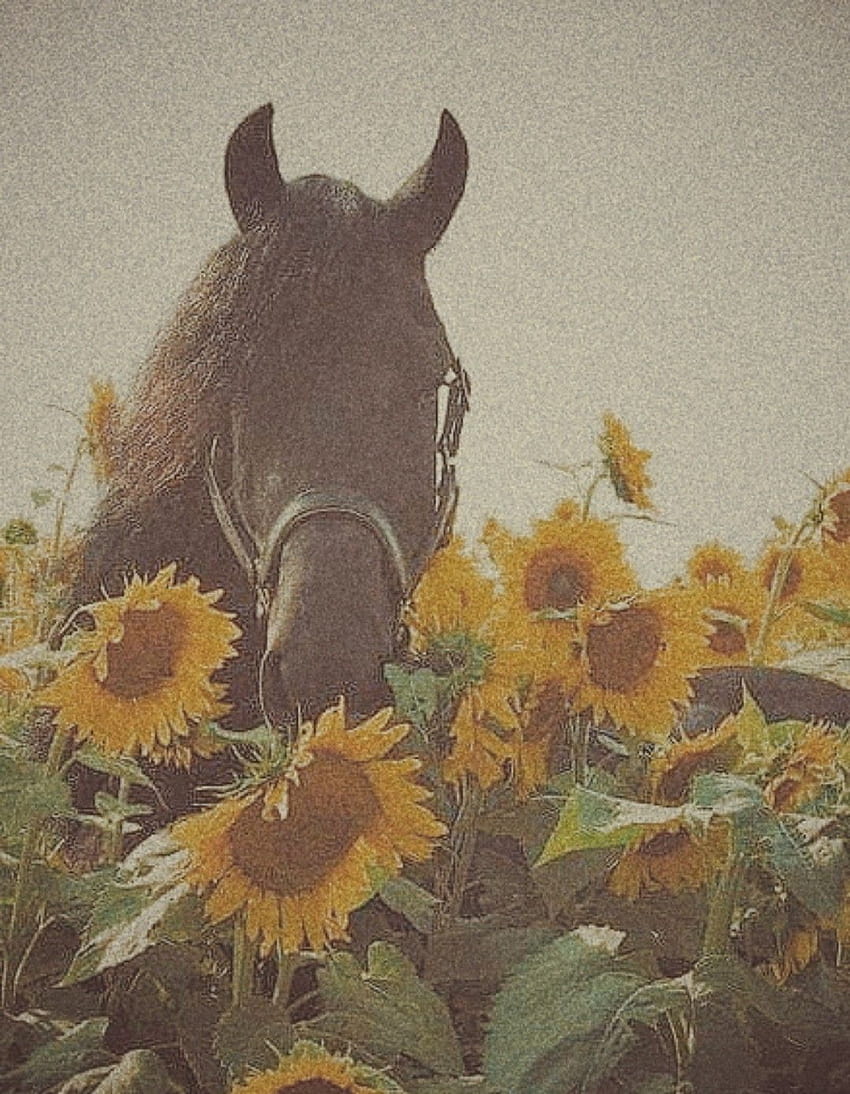 馬のコラージュ、国の美学 HD電話の壁紙