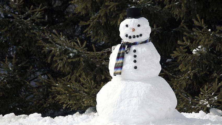 Snowman with a scarf and, winter real snowmen HD wallpaper