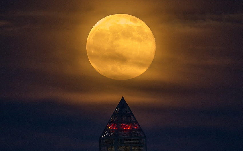 Supermoon Towers Over Washington Monument, super moon HD wallpaper