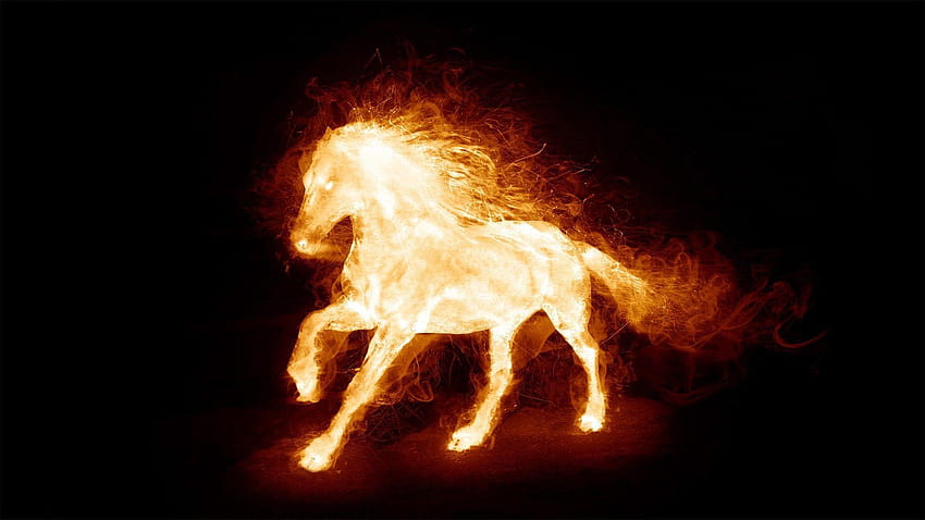 burning horse fire horse 12811 HD wallpaper