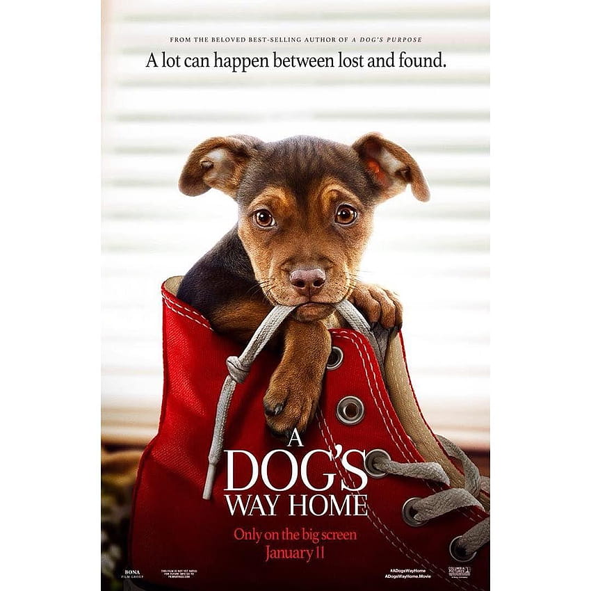 2019'] A Dog's Way Home FULL MOVIE Sub English, ellies story a dogs Purpose 子犬物語 HD電話の壁紙