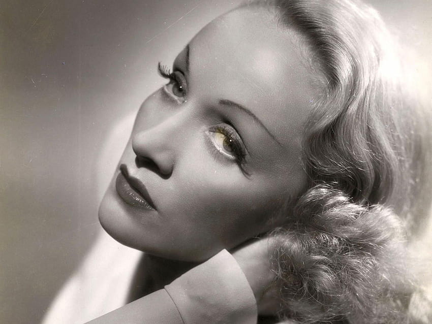 Marlene Dietrich 4 HD wallpaper