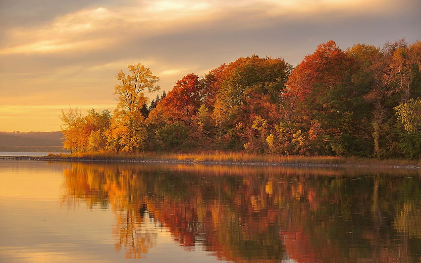 Dusk autumn, forest, lake, water reflection 1920x1200 , lake in autumn forest HD wallpaper