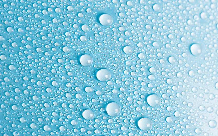 Rain Drops Group, dew drops HD wallpaper