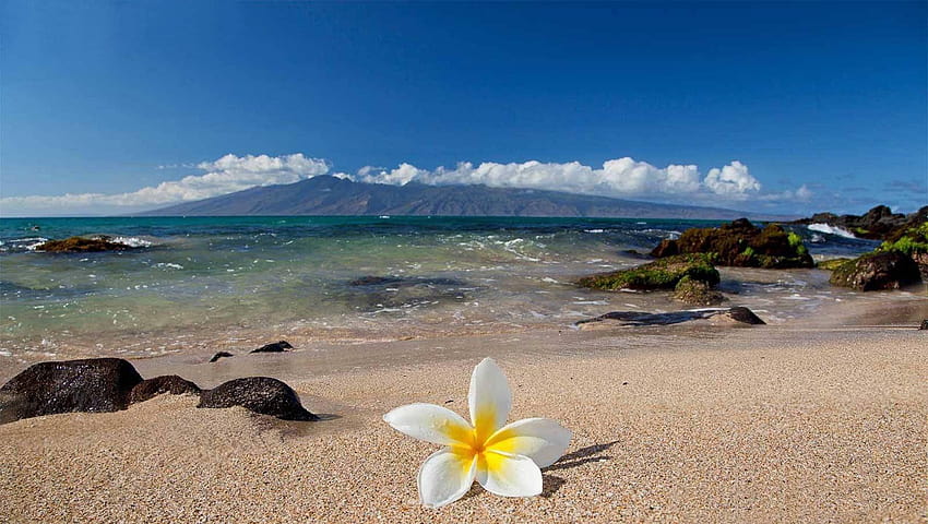 Praia do Havaí, Waikiki Havaí papel de parede HD