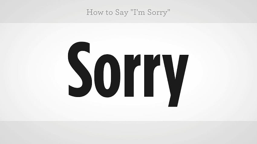 How to Say, i m sorry HD wallpaper
