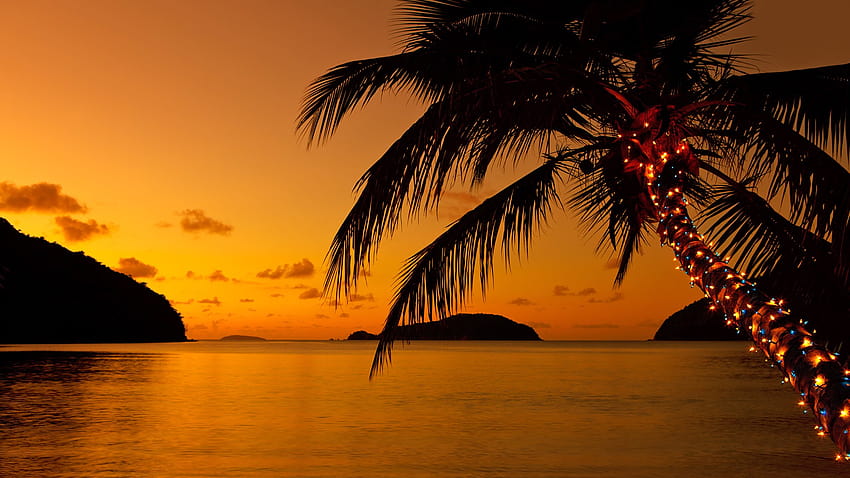 Weihnachtsbeleuchtung auf einer Palme am karibischen Strand bei Sonnenuntergang, Sonnenuntergangbaumweihnachten HD-Hintergrundbild