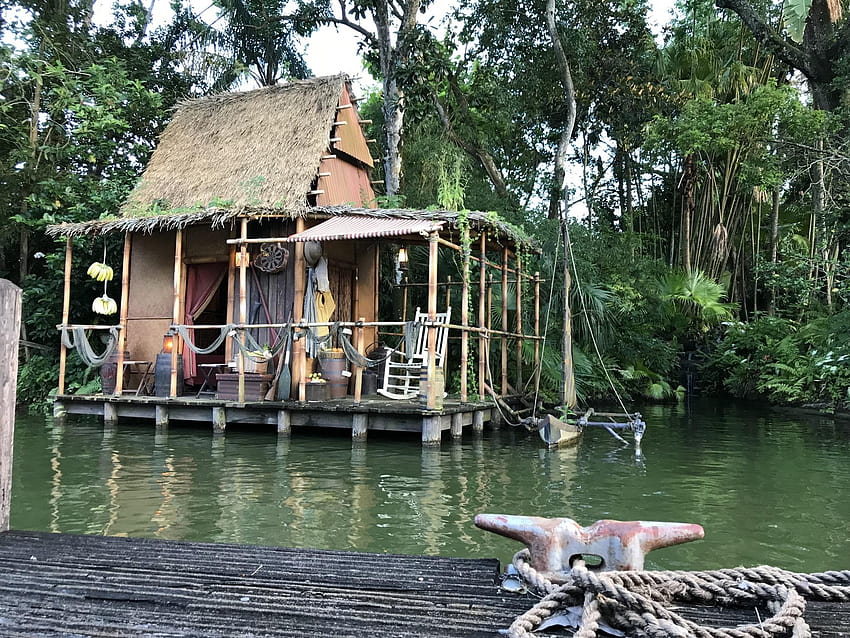 Did you know they dye the water of the Jungle Cruise green so we cant see the track the boats are running on?: disney HD wallpaper