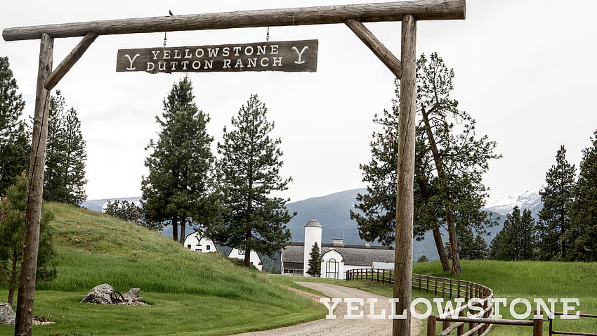 Twitter'da Yellowstone:, yellowstone tv şovu HD duvar kağıdı