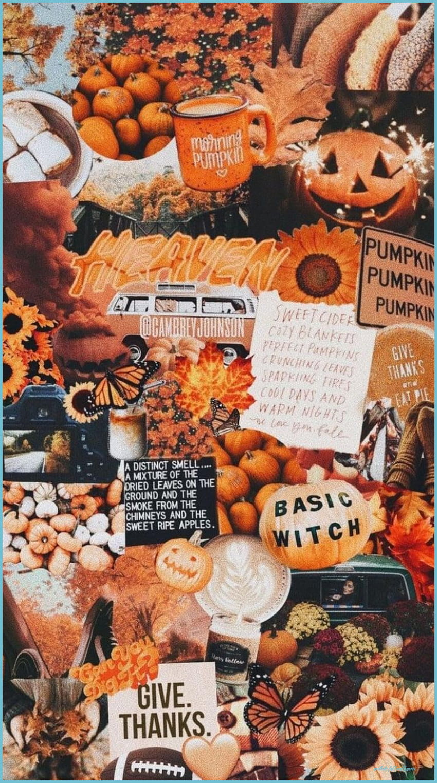 Autumn Aesthetic, aesthetic vintage autumn HD phone wallpaper