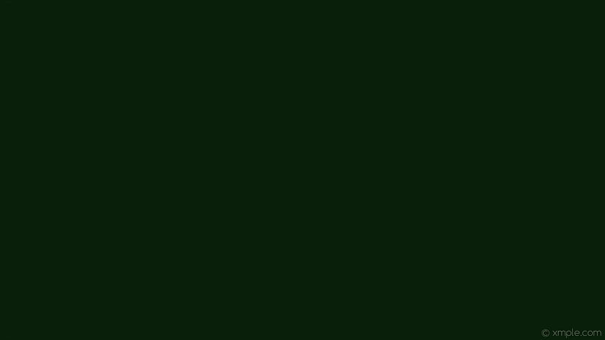Плътно тъмно зелено, естетично армейско зелено HD тапет