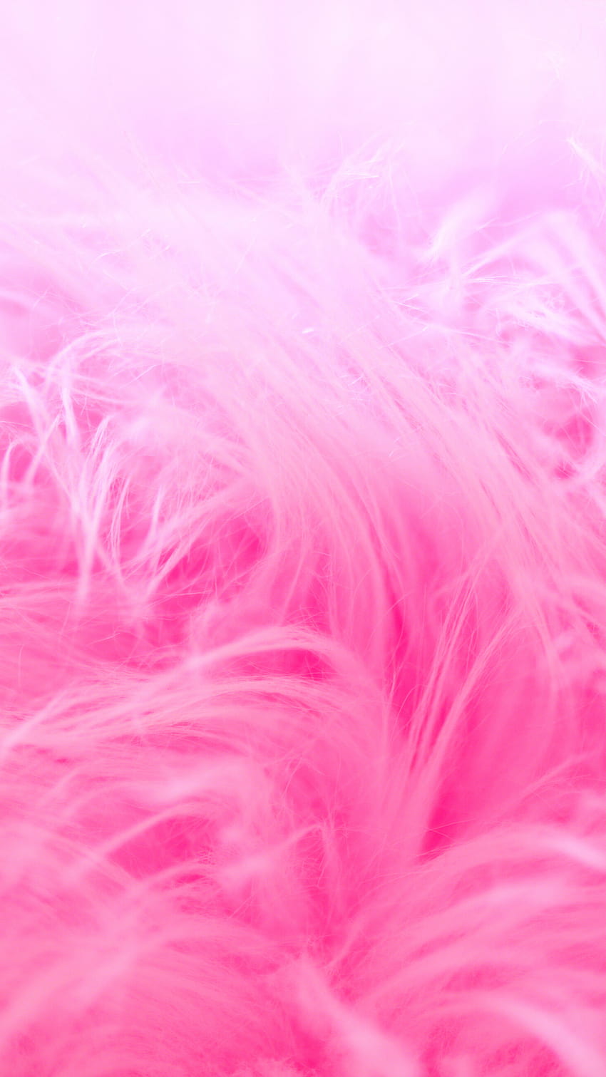 Fuzzy background Stock Photos Royalty Free Fuzzy background Images   Depositphotos