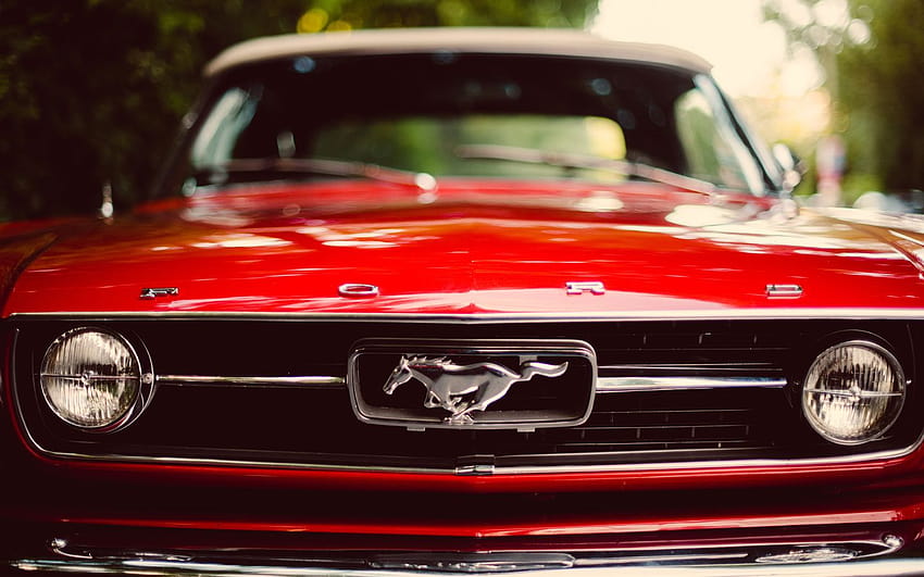 1440x900 mustang, red, red, ford, bokeh, the front, classic, ford, classic ford mustang HD wallpaper