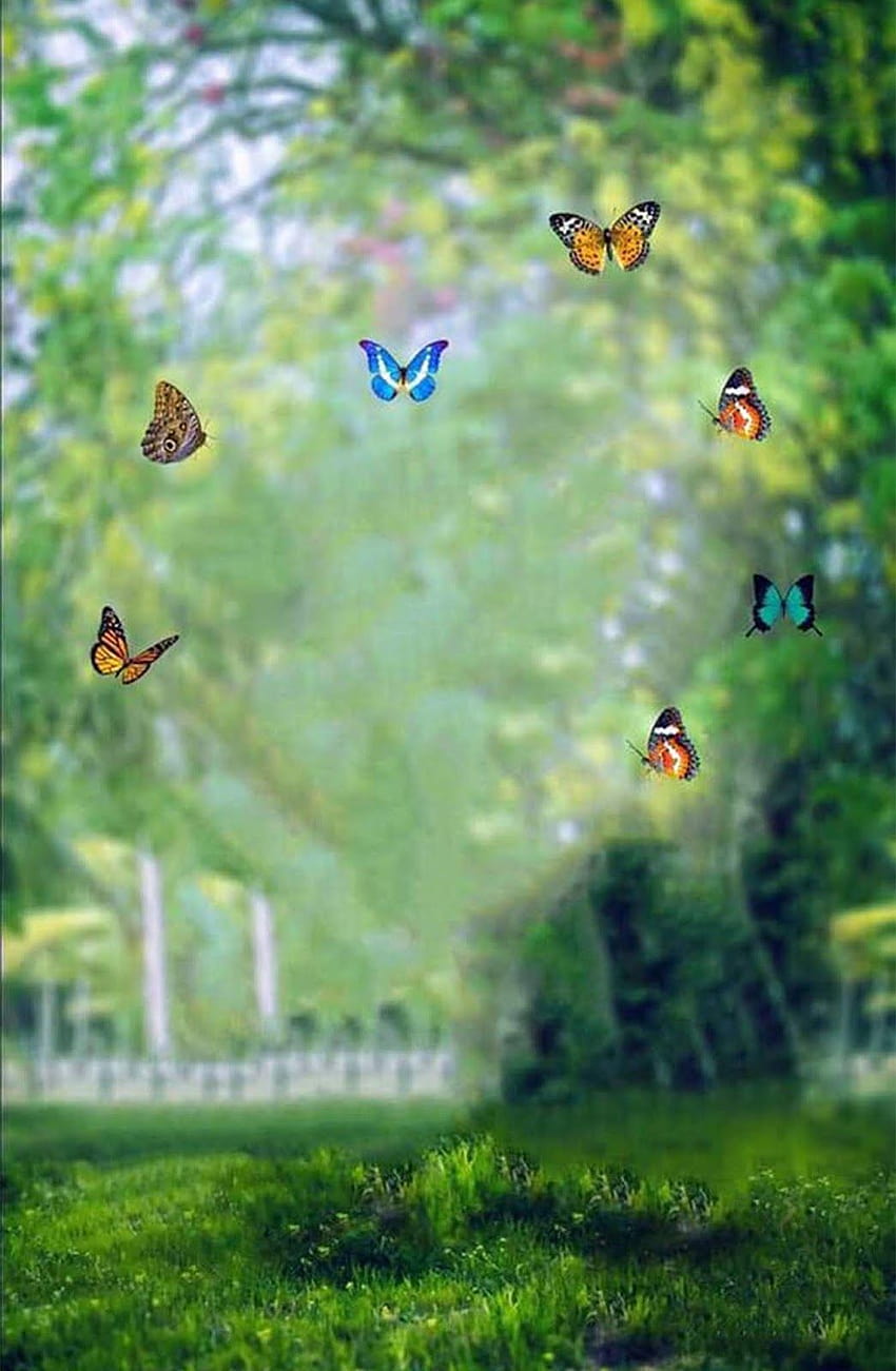 New Full Nature CB Backgrounds With Butterfly HD phone wallpaper