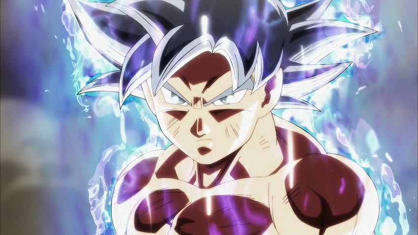 Who is the stronger Vegeta SSB Evolution or MUI Goku?, goku mui and vegeta hakai form HD wallpaper