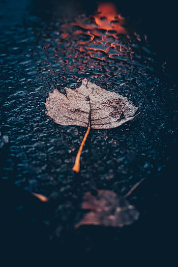 beautiful rain wallpaper with quotes