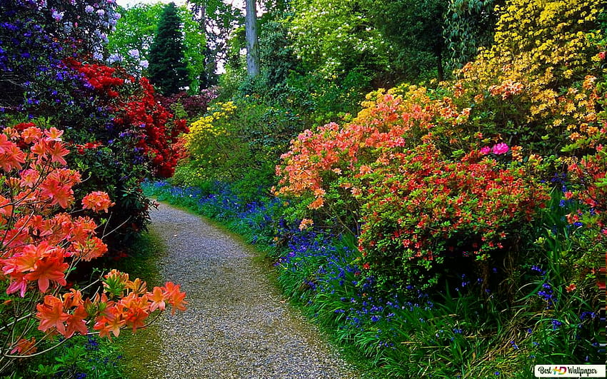 Flowery Summer Garden Path, summer path HD wallpaper