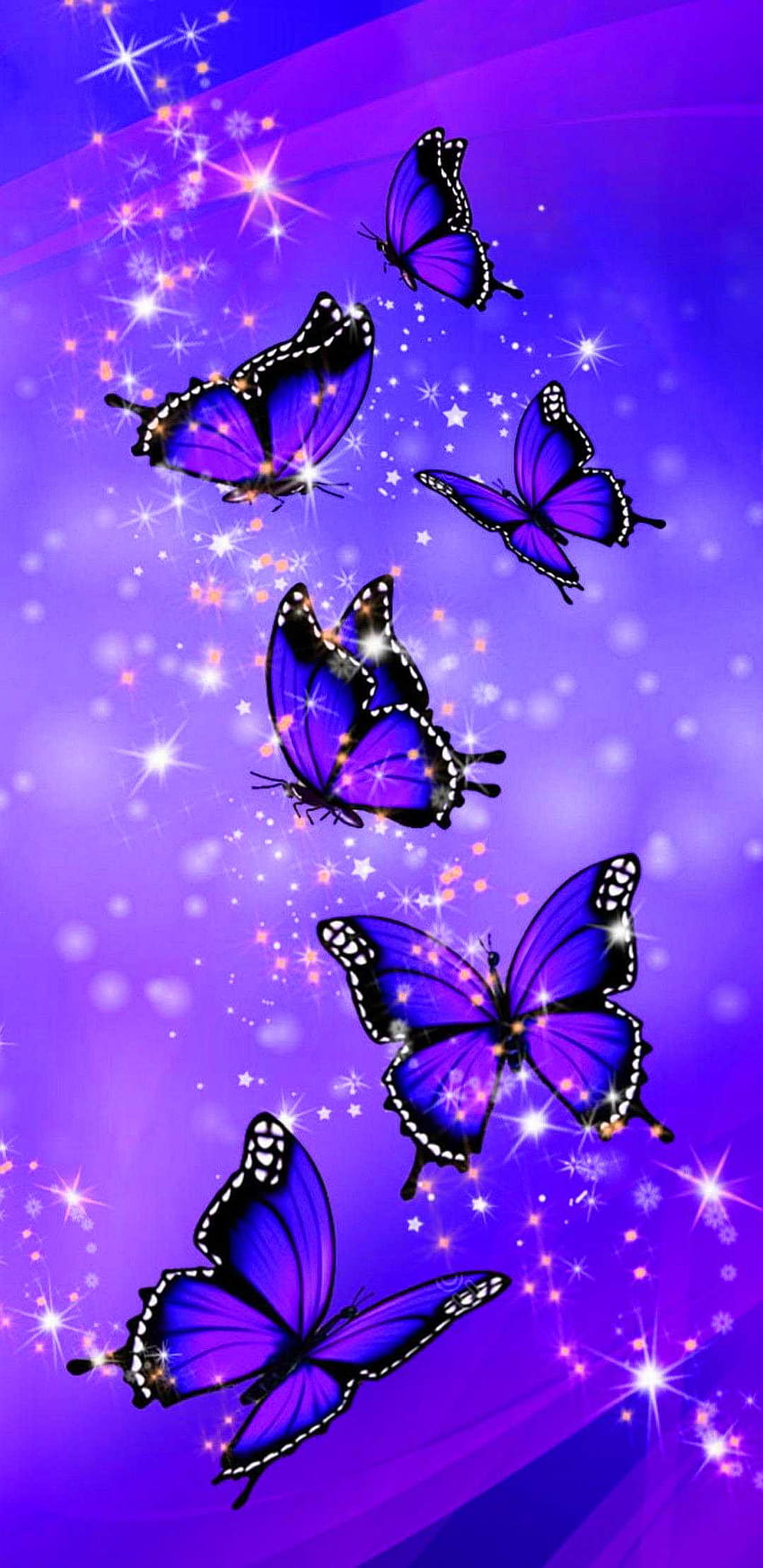 orange and purple butterfly HD phone wallpaper