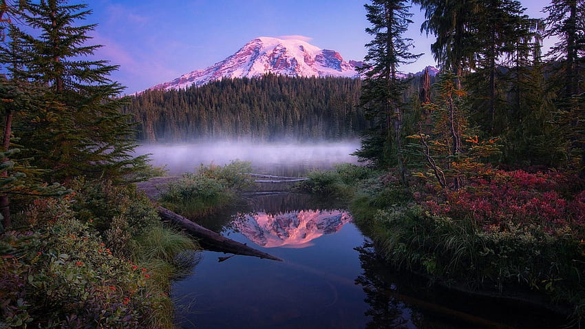 Misty Morning In The Mount Rainier National Park, mount rainier np HD wallpaper