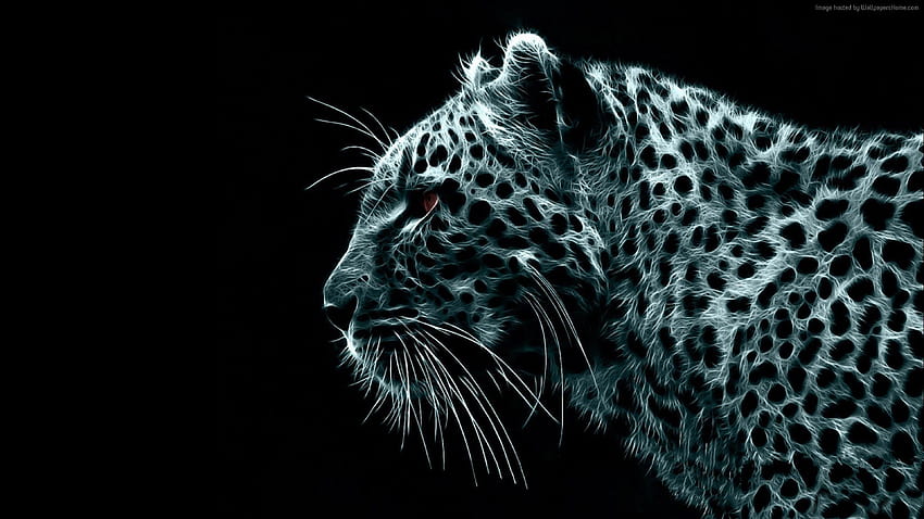 Snow Leopard Ultra HD-Hintergrundbild