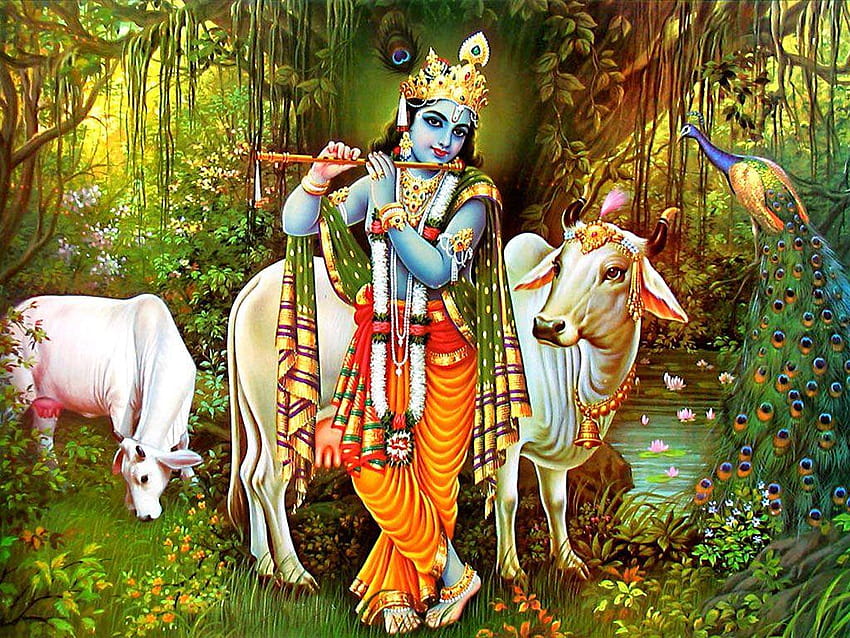 Lord Krishna con mucca per - Ultimi auguri del festival E, krishna a grandezza naturale Sfondo HD