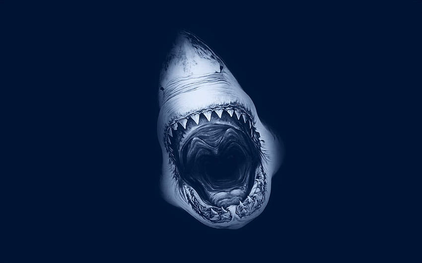 Haifischmaul HD-Hintergrundbild