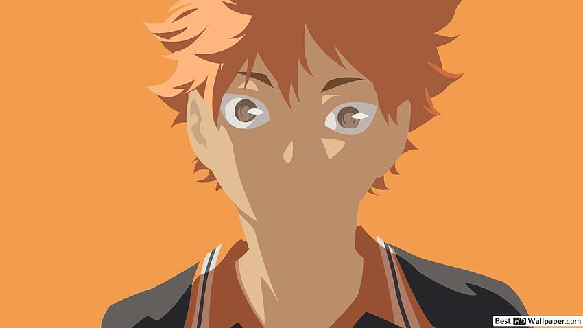 Haikyuu Hinata Shoyo Hd Wallpaper Pxfuel