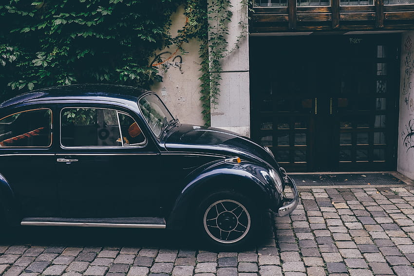 car, Black, Volkswagen, Germany, Volkswagen Beetle / and Mobile Backgrounds HD wallpaper