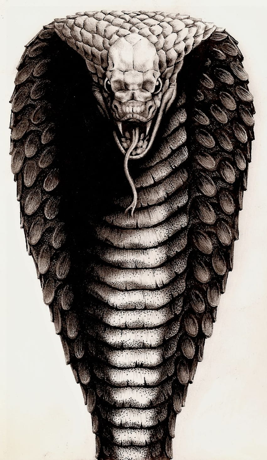 King Cobra, tatuaje de serpiente fondo de pantalla del teléfono | Pxfuel