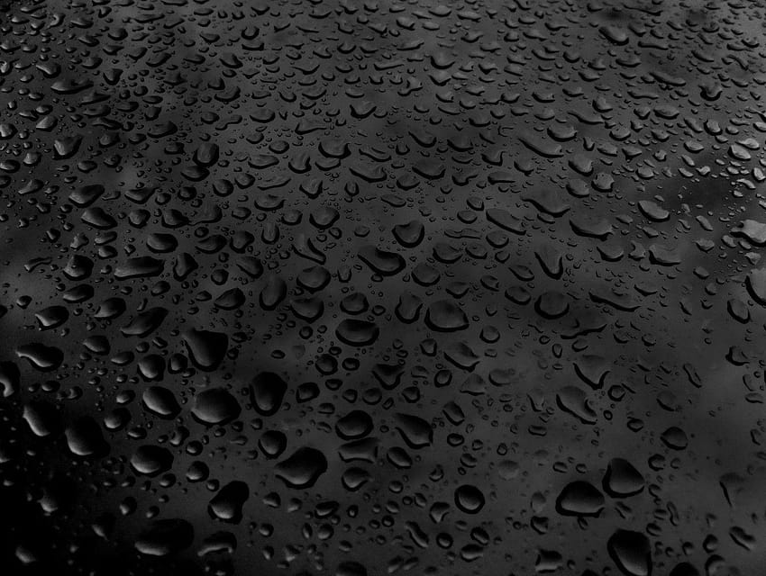 Black In Black: Raining Water Droplets HD wallpaper