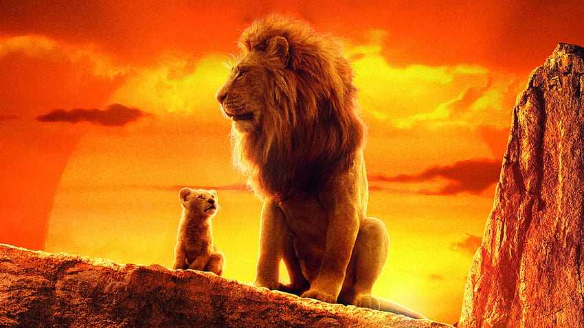 O Rei Leão Simba Mufasa, o rei leão ultra papel de parede HD