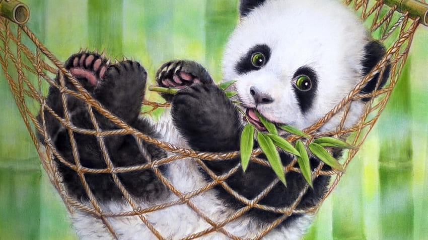 new born panda HD wallpaper