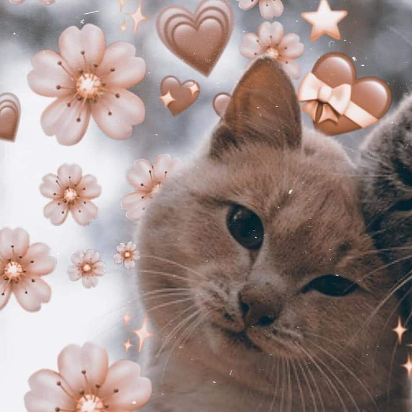 Matching cat icon profile pictures for couples
