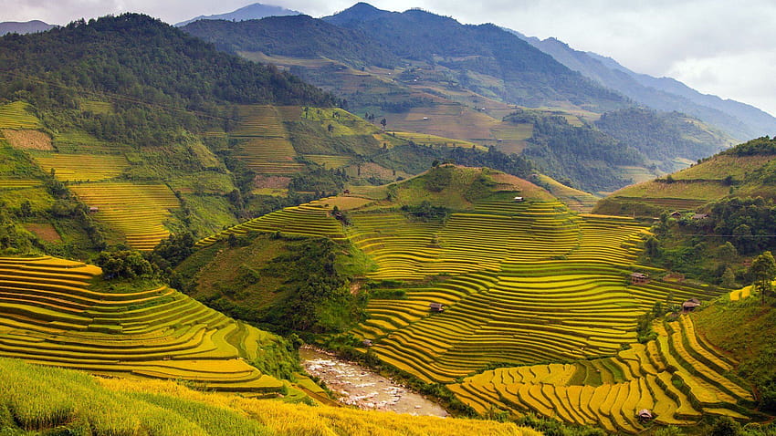 4 Schönes Vietnam auf ... afari, vietnamesisch HD-Hintergrundbild