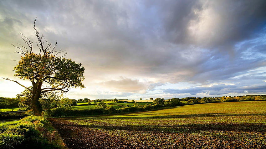 English Countryside ·①, british countryside HD wallpaper
