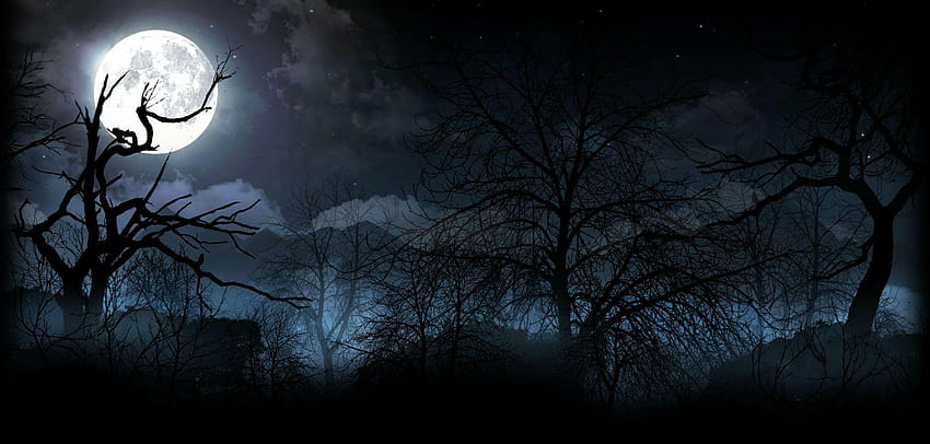 Nacht und Hintergründe, Halloween-Horrornächte HD-Hintergrundbild