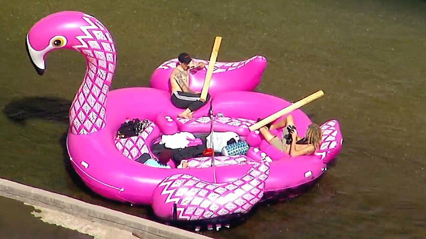 Group floats down Los Angeles River in inflatable pink flamingo raft HD wallpaper
