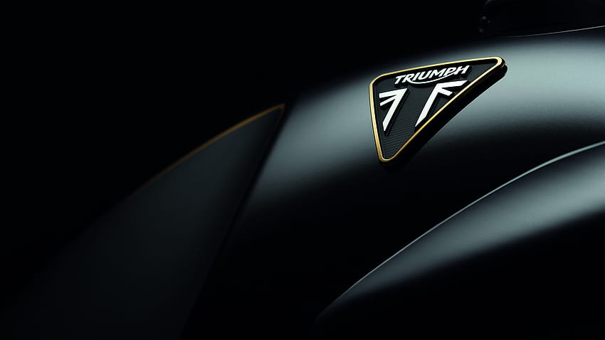 Triumph Thruxton TFC 2019.jpeg, logotipo do triunfo papel de parede HD